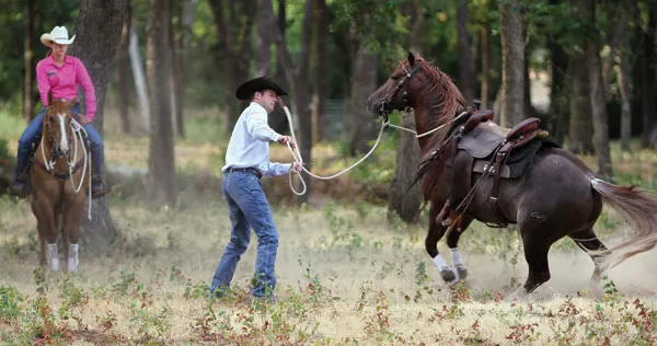 From horseandrider.com: Out-of-Control Trail Horse!<br>What should you do on the trail when your horse just won’t settle down—and even tries to bolt?