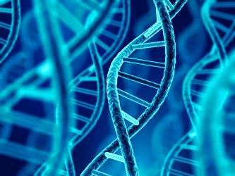 Strands of DNA from researchers Strands of DNA from researchers in the USA