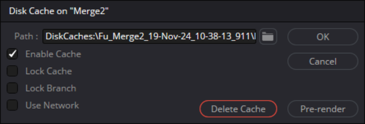 Deleting the cache for a Fusion node