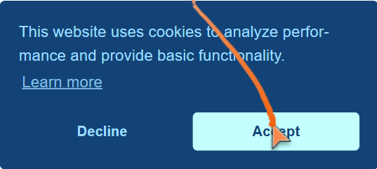 Zoomed in on the privacy consent popup
