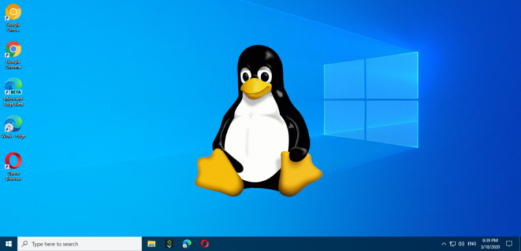 Desktop showing Windows Subsystem for Linux (WSL)